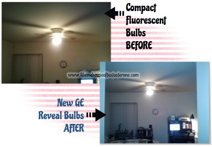 Before and After - Master Bedroom - GE Reveal Review - Life in a House of Testosterone