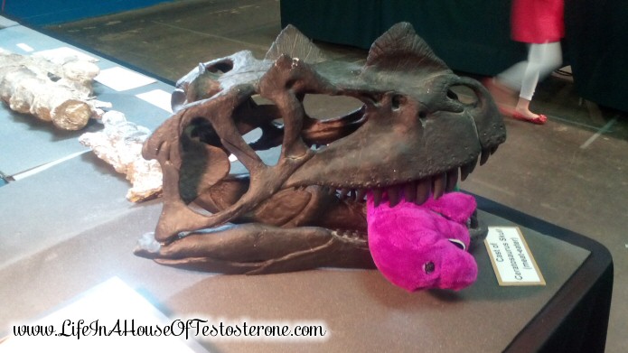 Dinosaur Fossil from the Gem and Mineral Show - Southern Women's Show 2014