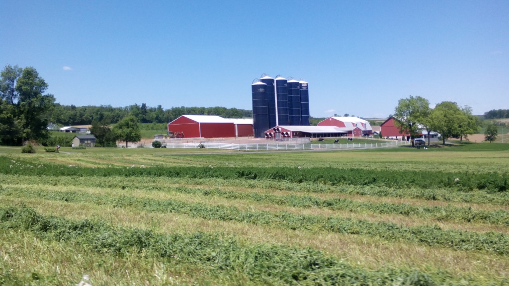 Farm Country, New Ringgold, PA