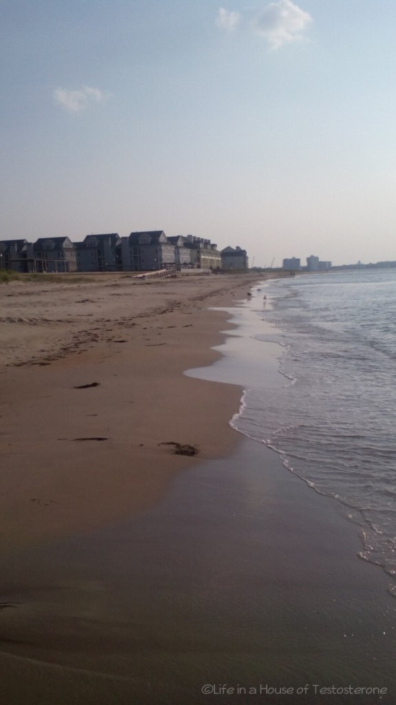 Virginia Beach near Lynnhaven Pier