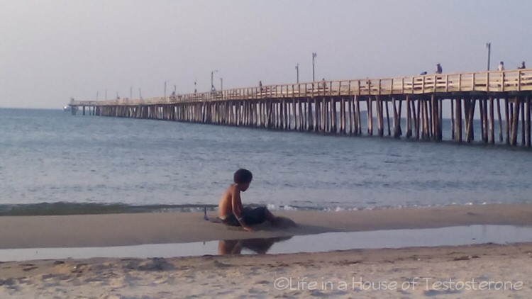 Inside the Beach Pond