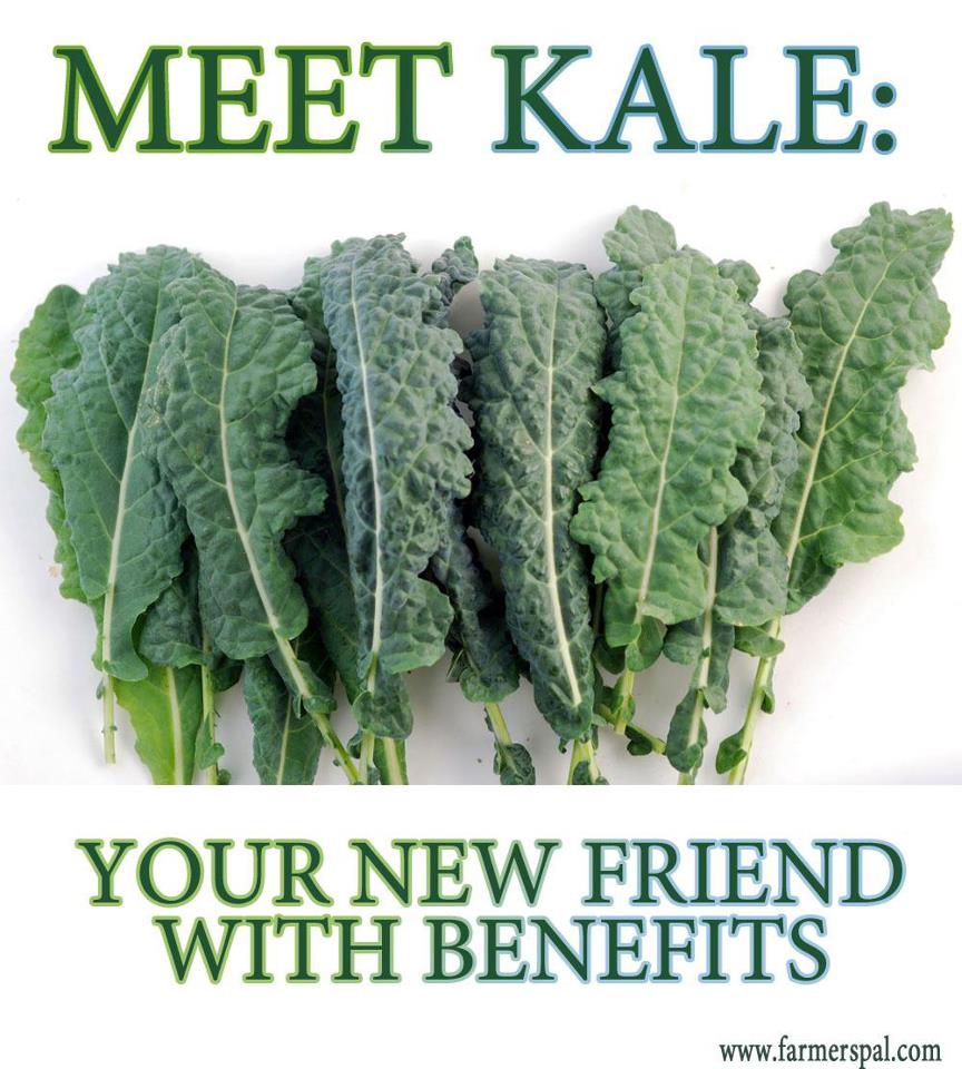 What’s Leafy, Green and Has Its Own Holiday? Kale!