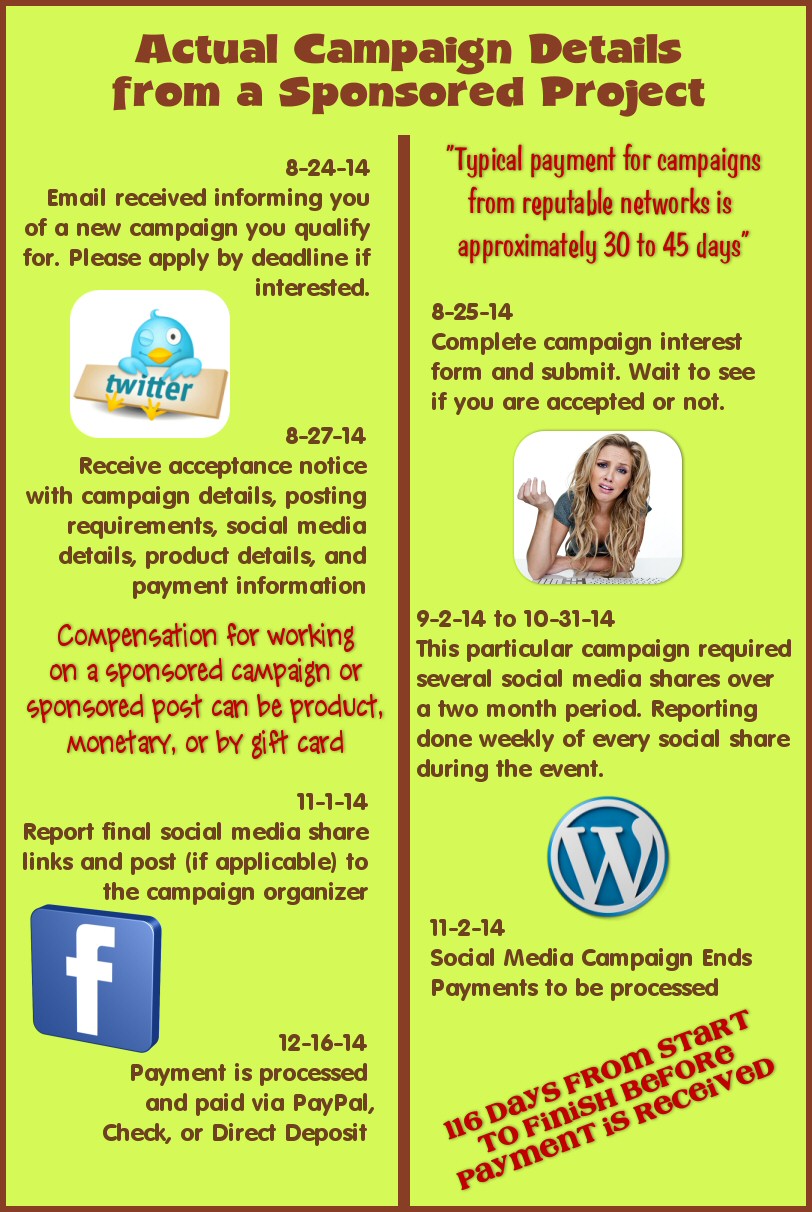 blog campaign infographic