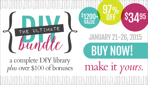 The 2015 Ultimate DIY Bundle