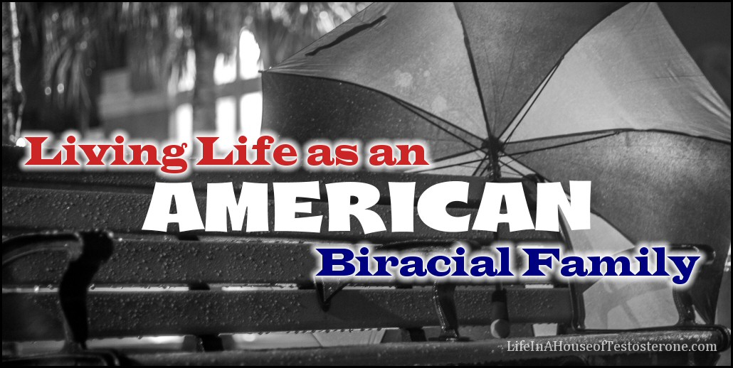 Living Life as an American Biracial Family