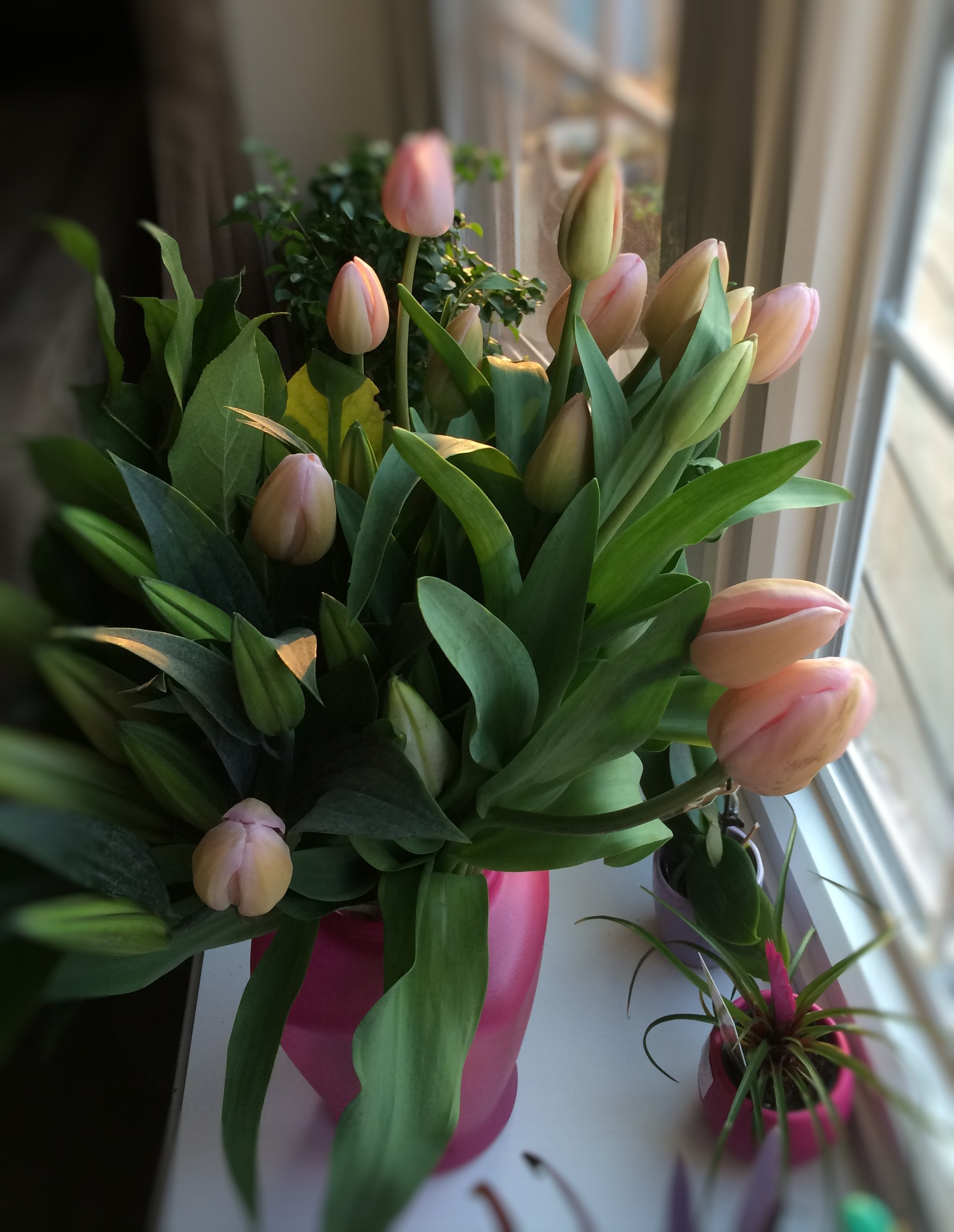 Deluxe Spring Tulips and Lilies from ProFlowers - #CelebrateEveryMom - Danielle Breidigan