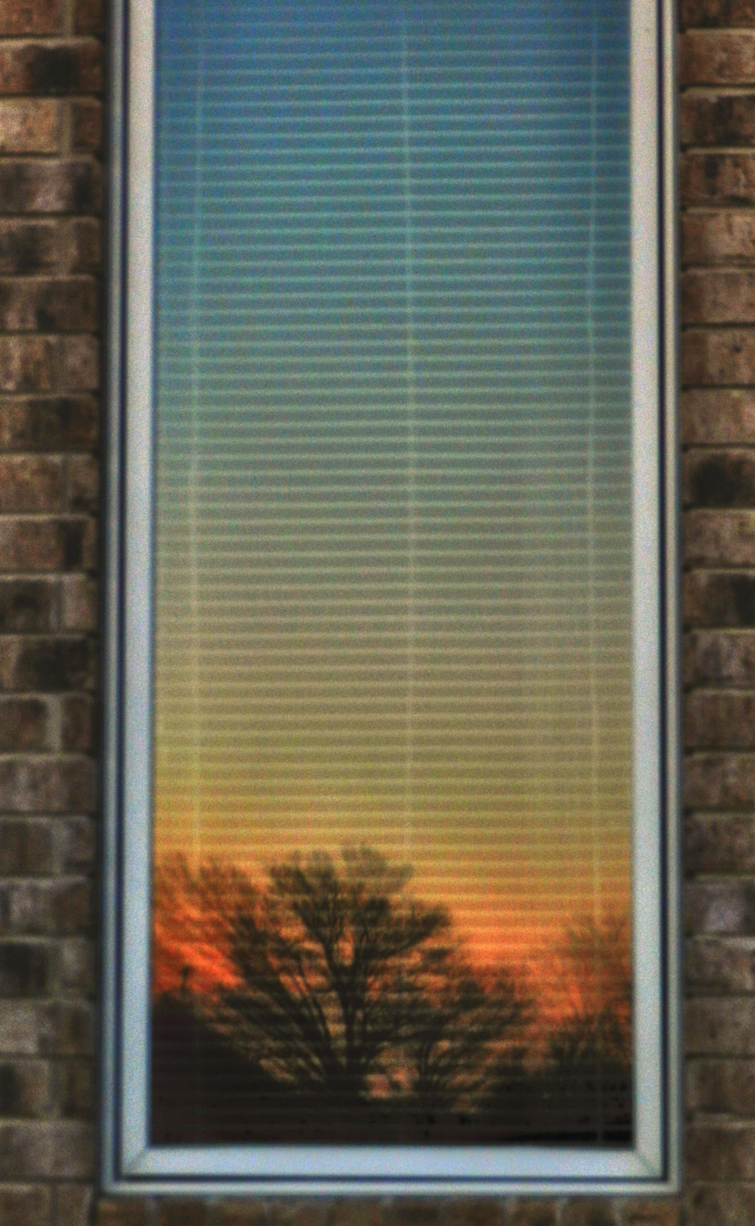 window, blinds, sunset