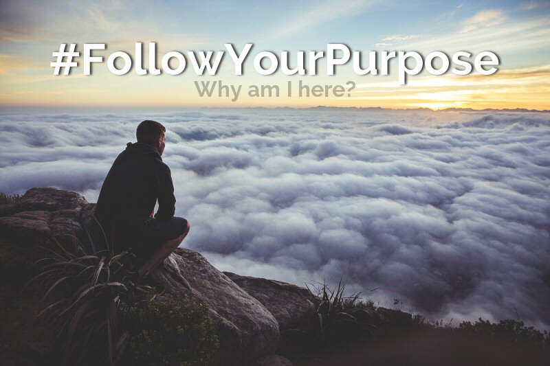 #FollowYourPurpose - Life in a House of Testosterone