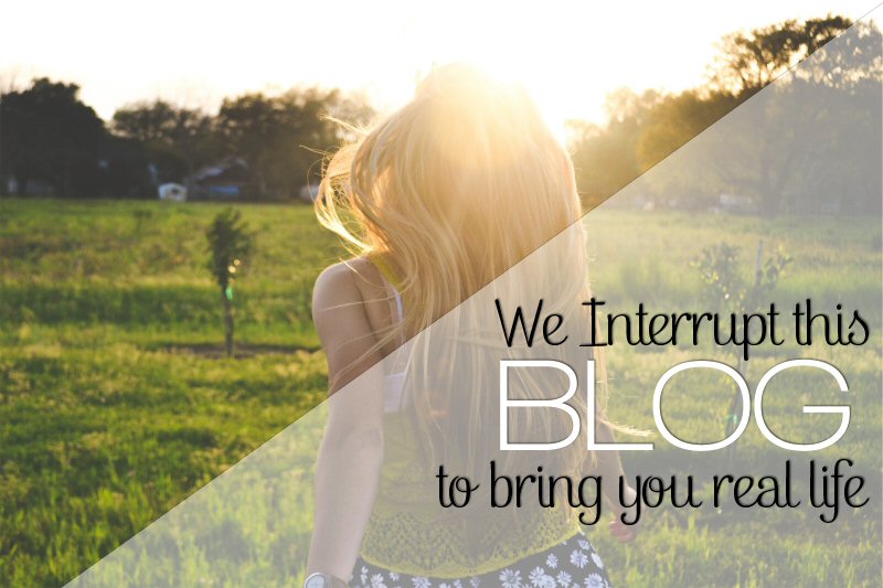 We Interrupt This Blog…