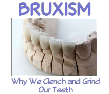 Bruxism Why We Clench and Grind Our Teeth