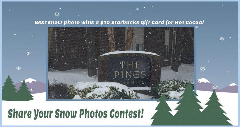 Share Your Snow Photos Contest