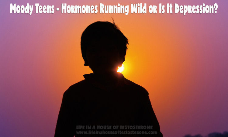 Moody Teens - Hormones Running Wild or Is It Depression?