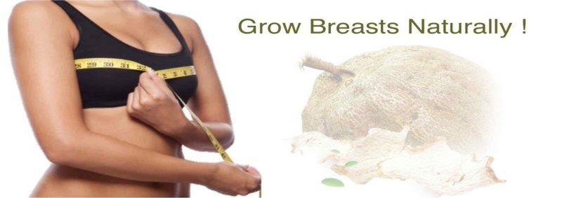 grow-breasts-naturally