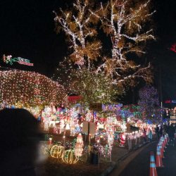 9604-and-9606-asbury-court-richmond-va-tacky-lights-tour-2016-photo-1