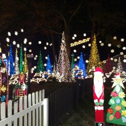 9716-wendhurst-avenue-richmond-va-tacky-lights-tour-2016-photo-16