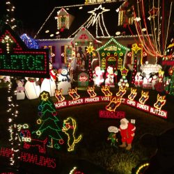 9716-wendhurst-avenue-richmond-va-tacky-lights-tour-2016-photo-20