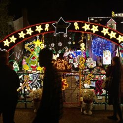 9716-wendhurst-avenue-richmond-va-tacky-lights-tour-2016-photo-22