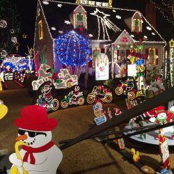 9716-wendhurst-avenue-richmond-va-tacky-lights-tour-2016-photo-24