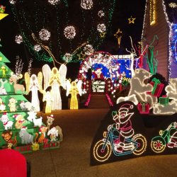 9716-wendhurst-avenue-richmond-va-tacky-lights-tour-2016-photo-26