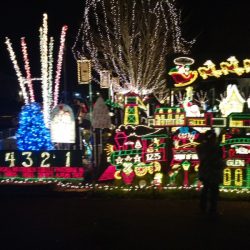 9716-wendhurst-avenue-richmond-va-tacky-lights-tour-2016-photo-5