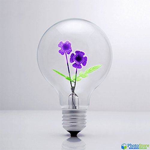 DarkSteve – Violet – Vintage Light Bulb – Edison Style G80 E26 Screw Filament Decorative Light Bulbs #1 Unique Gift