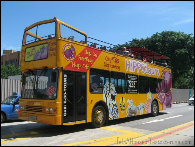 Hippo Bus Tours