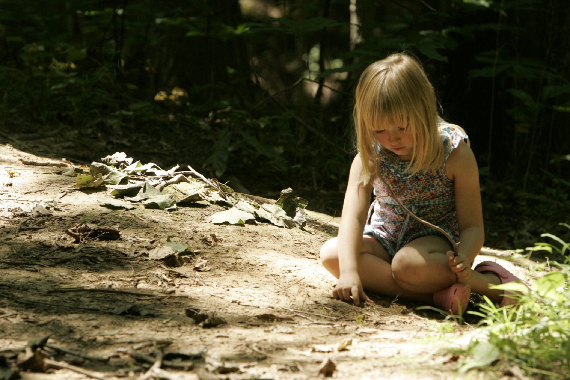 15 Summer Activities to Help the Kids Appreciate Nature