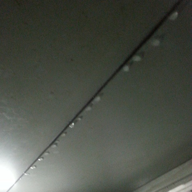 Leaking Roof