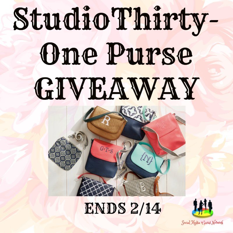 Studio 31 online purse