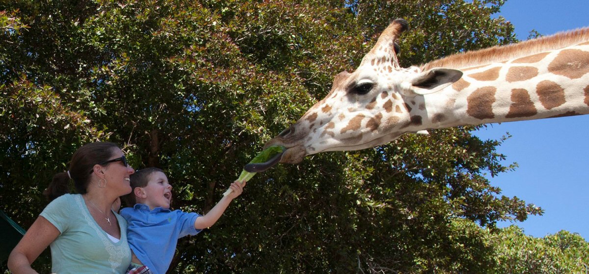 naples zoo