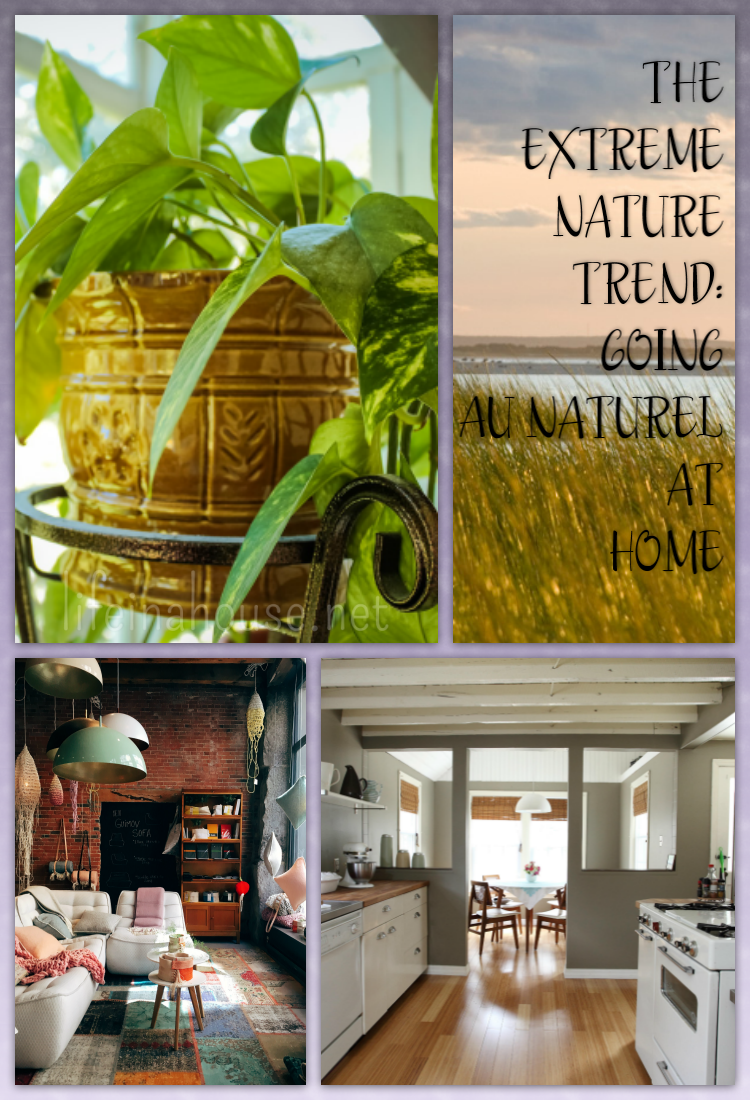 The Extreme Nature Trend Going Au Naturel At Home - Are you an eco-warrior with a flair for interior design? If so, we've got some tips to help you go "au naturel" at home with the extreme nature trend!