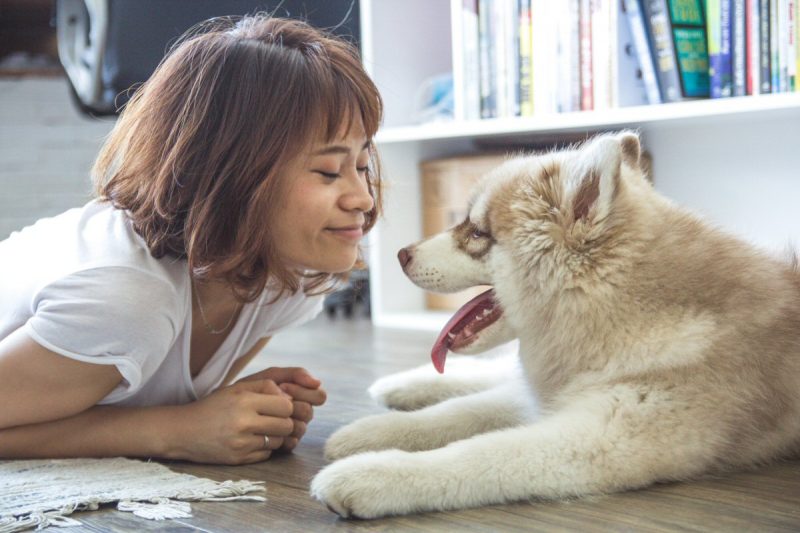 Why Stay-at-Home Moms Need a Dog #moms #pets #dogs