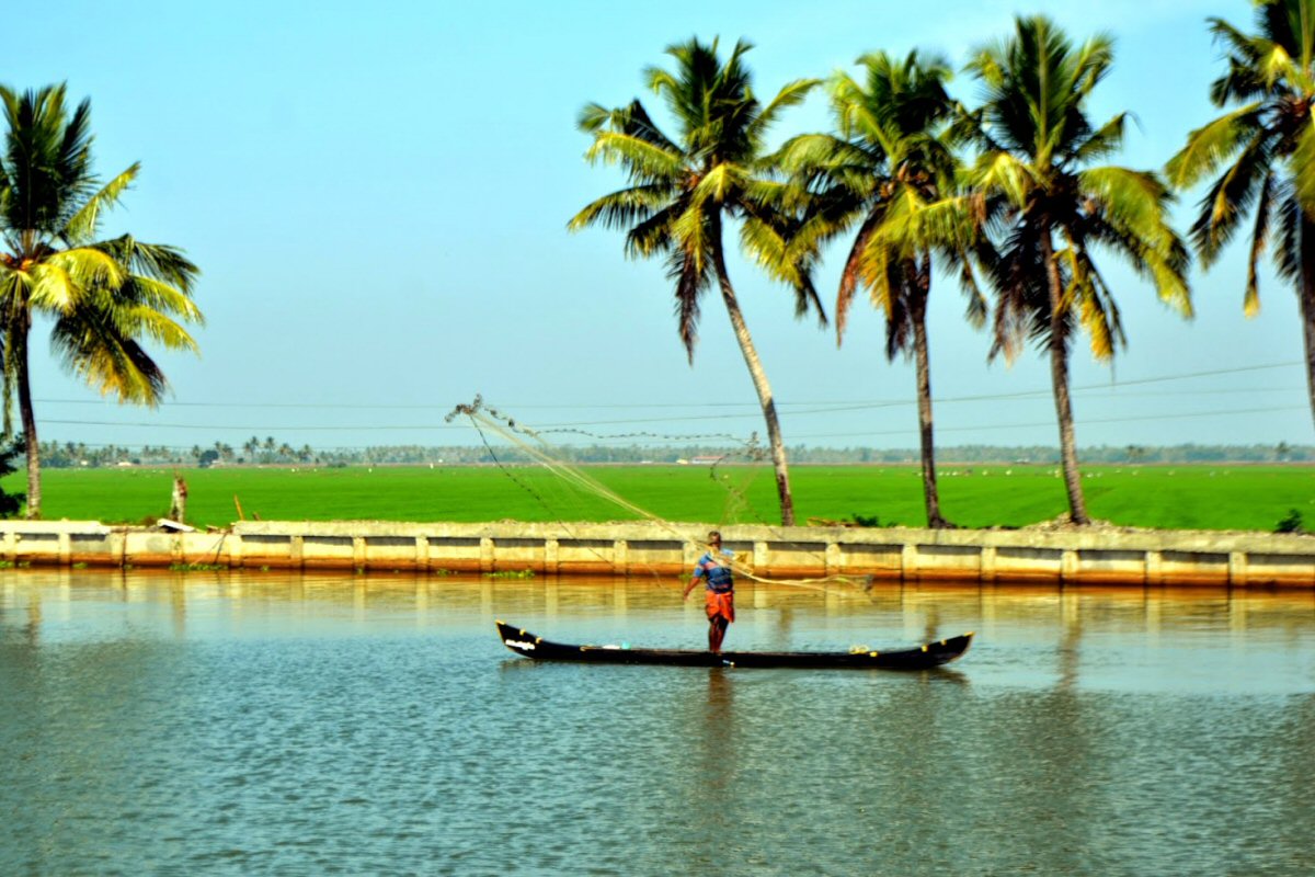 Backwaters of Kuttanad