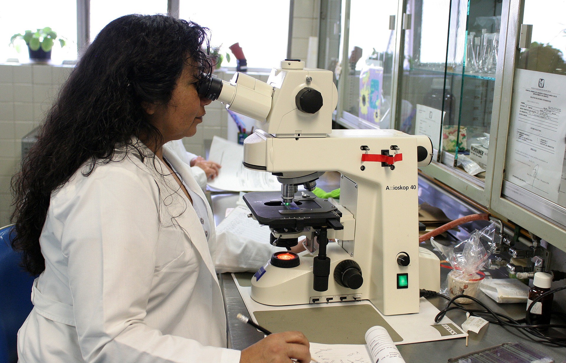 Checking DNA Samples in Laboratory