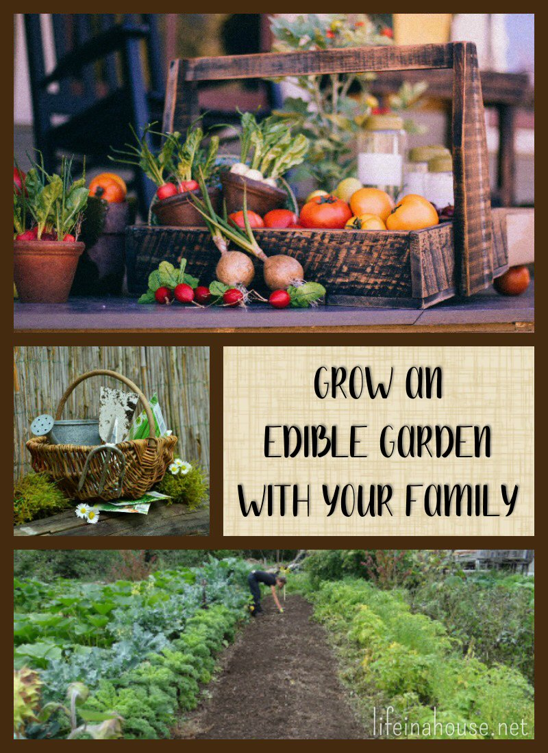 Grow an Edible Garden with Your Family