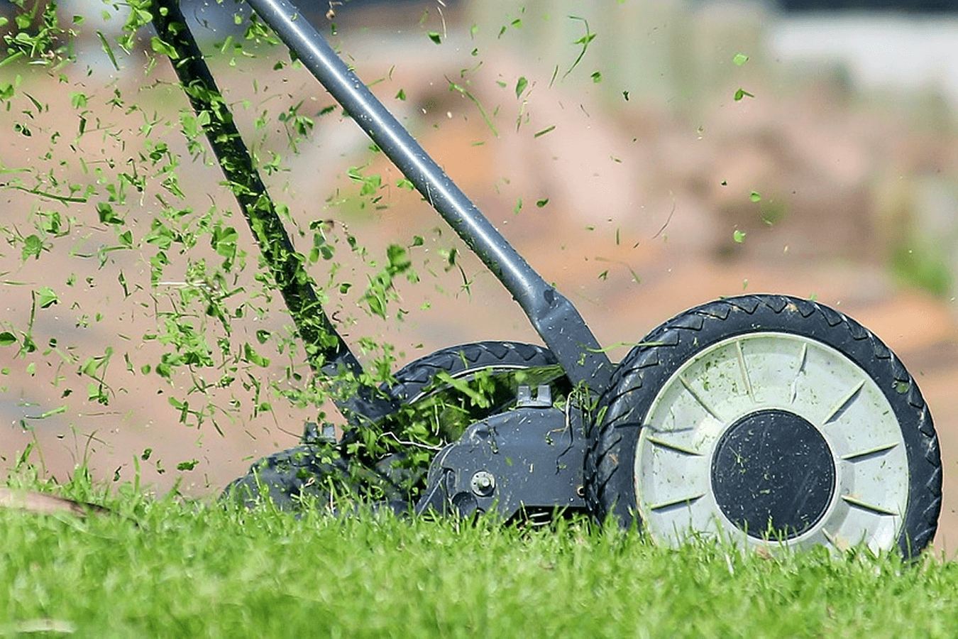 how much water your lawn needs