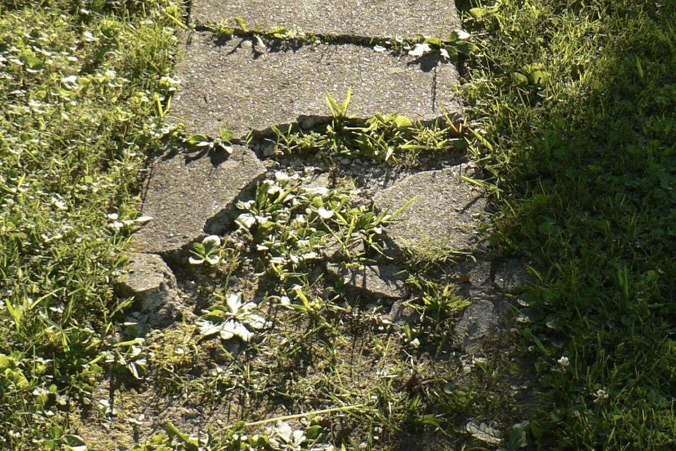 Repair broken sidewalks