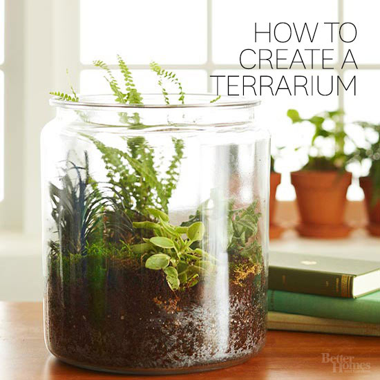 how to create a terraium