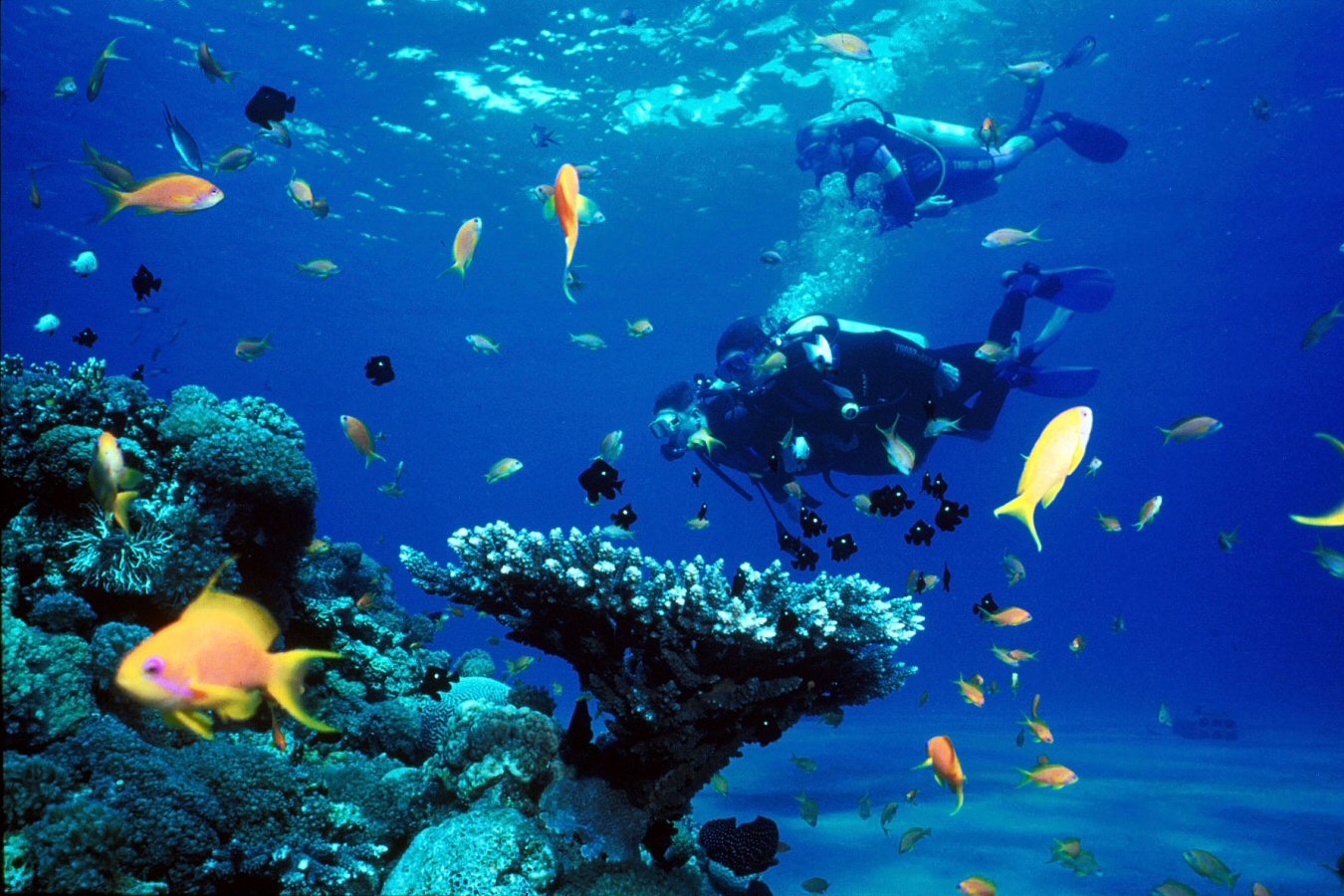 scuba diving in nha trang