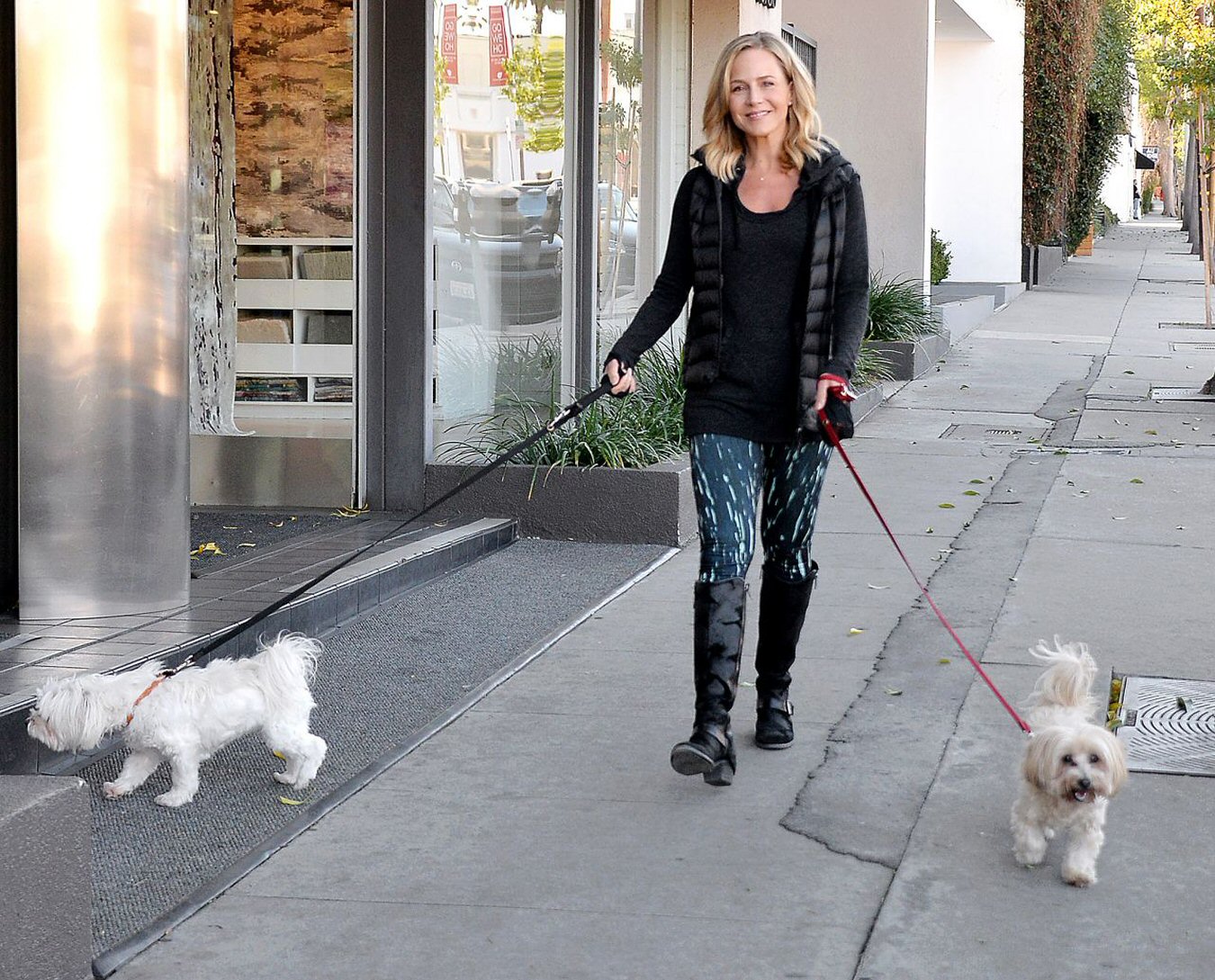 Julie Benz walking her dogs in West Hollywood