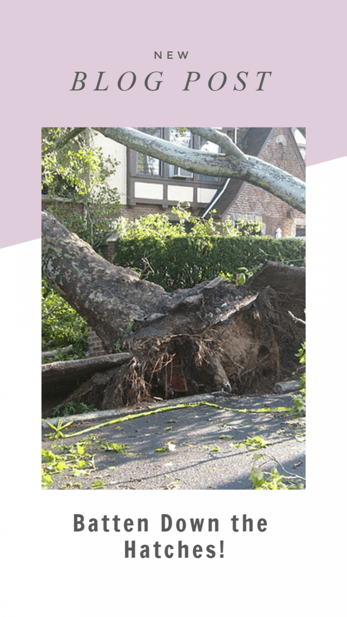 protect home from wind damage