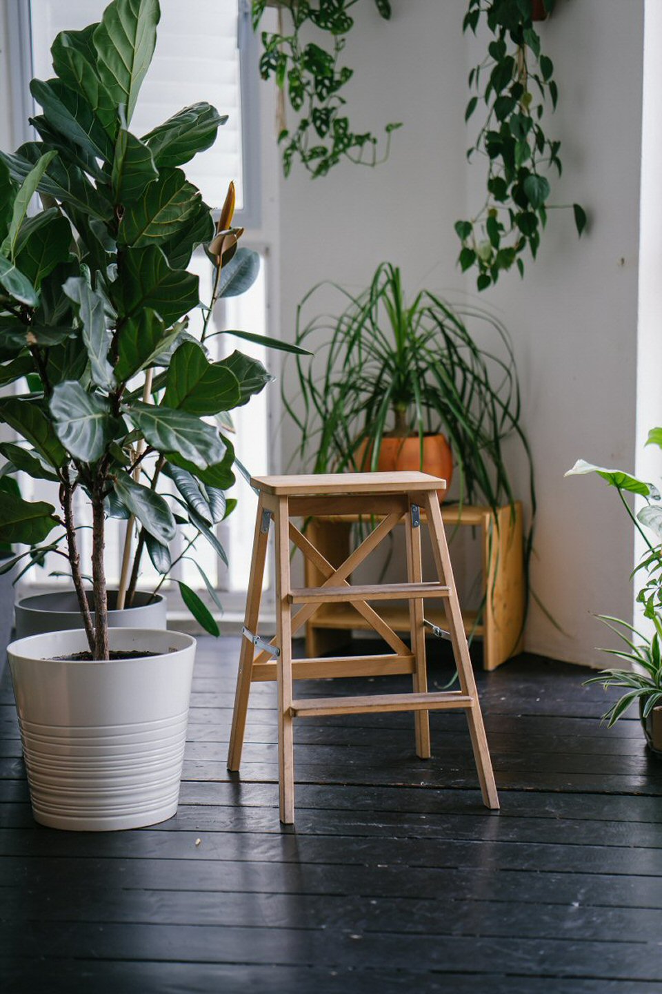 Bring Nature Indoors with Real or Artificial Houseplants