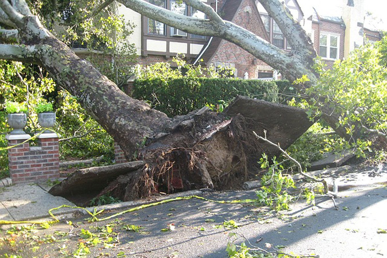 wind damage