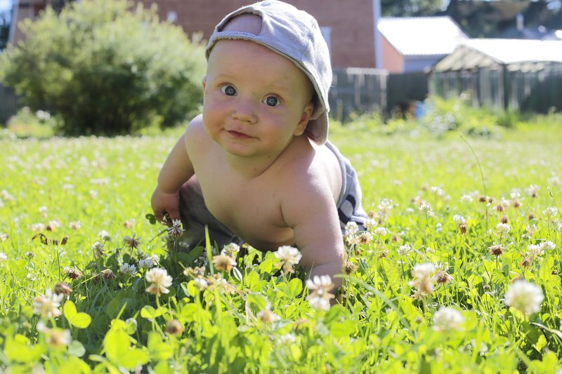 baby in the sunshine