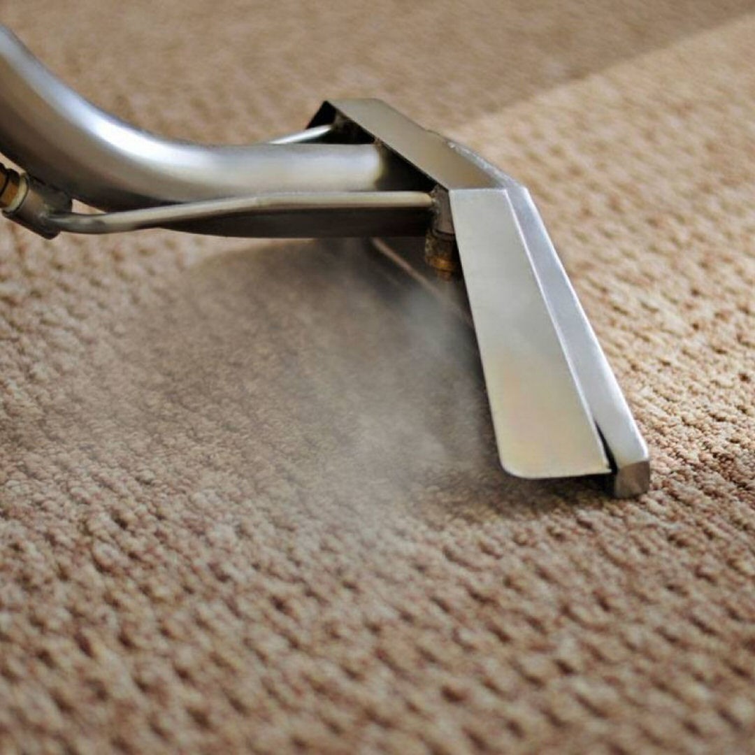 Steam Cleaning vs. Shampooing Your Carpets