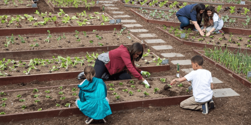 gardening at the White House with Michelle Obama