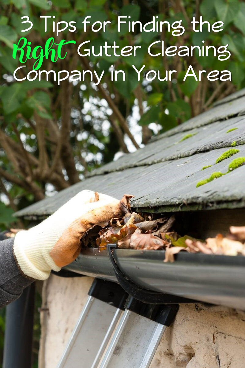 3 Tips for Finding the RIGHT Gutter Cleaning Company in Adelaide