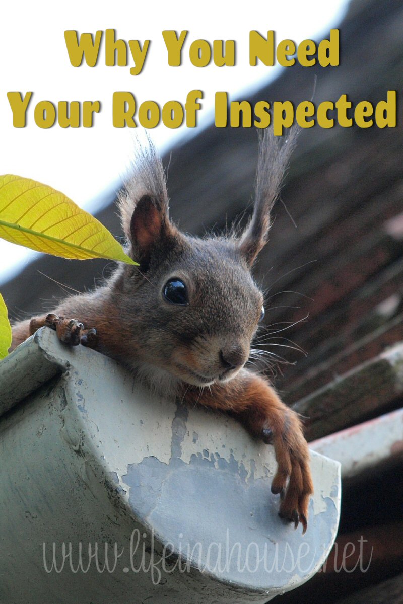 Why You Need to Get Your Roof Inspected