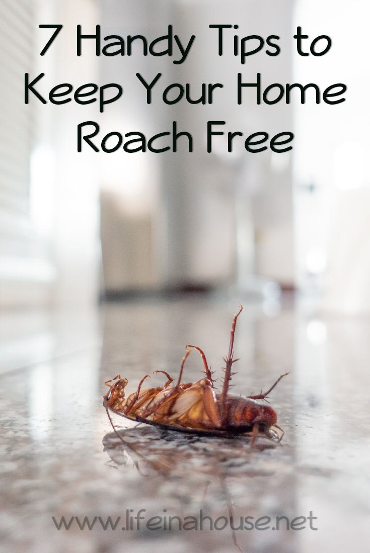 7 Handy Tips to Keep Your Home Cockroach Free