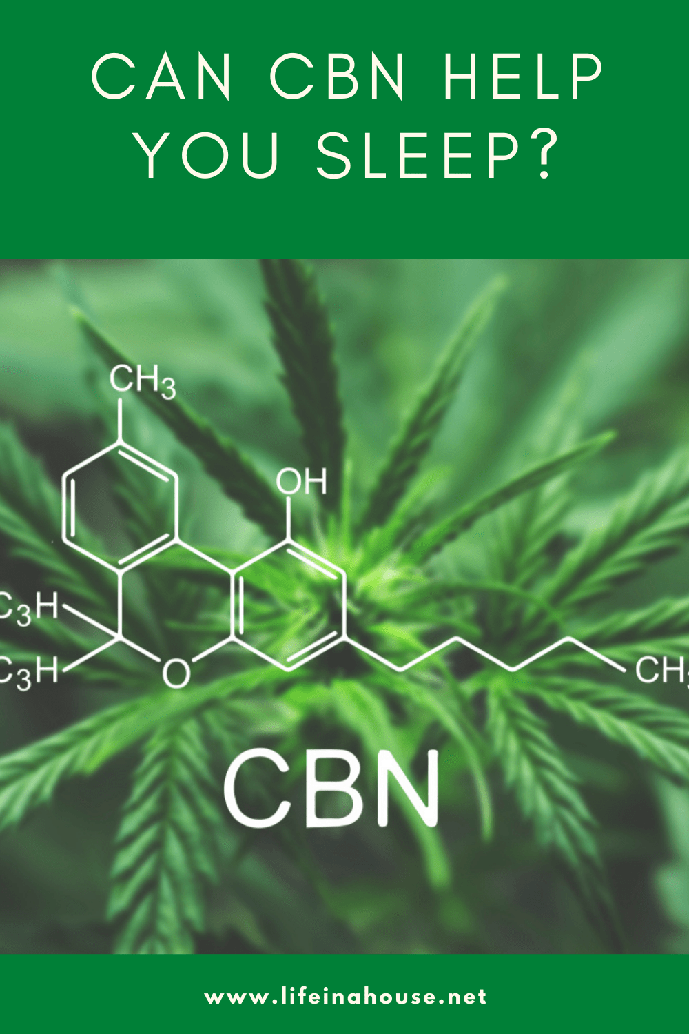 can CBN help you sleep?